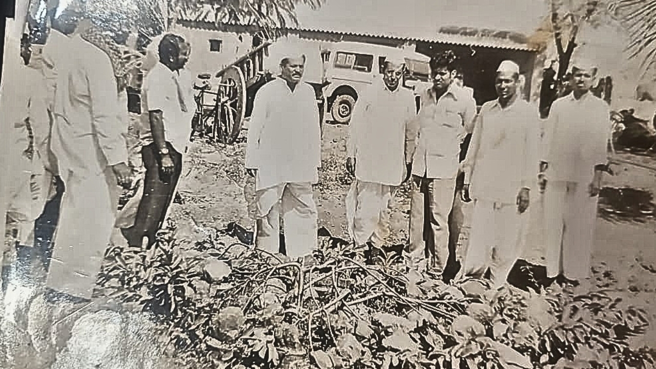 Tree Transplantation