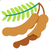 Tamarind Icon